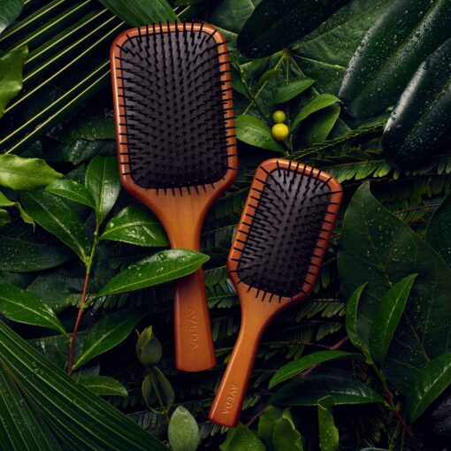 Aveda Mini en Grote Paddle Brush